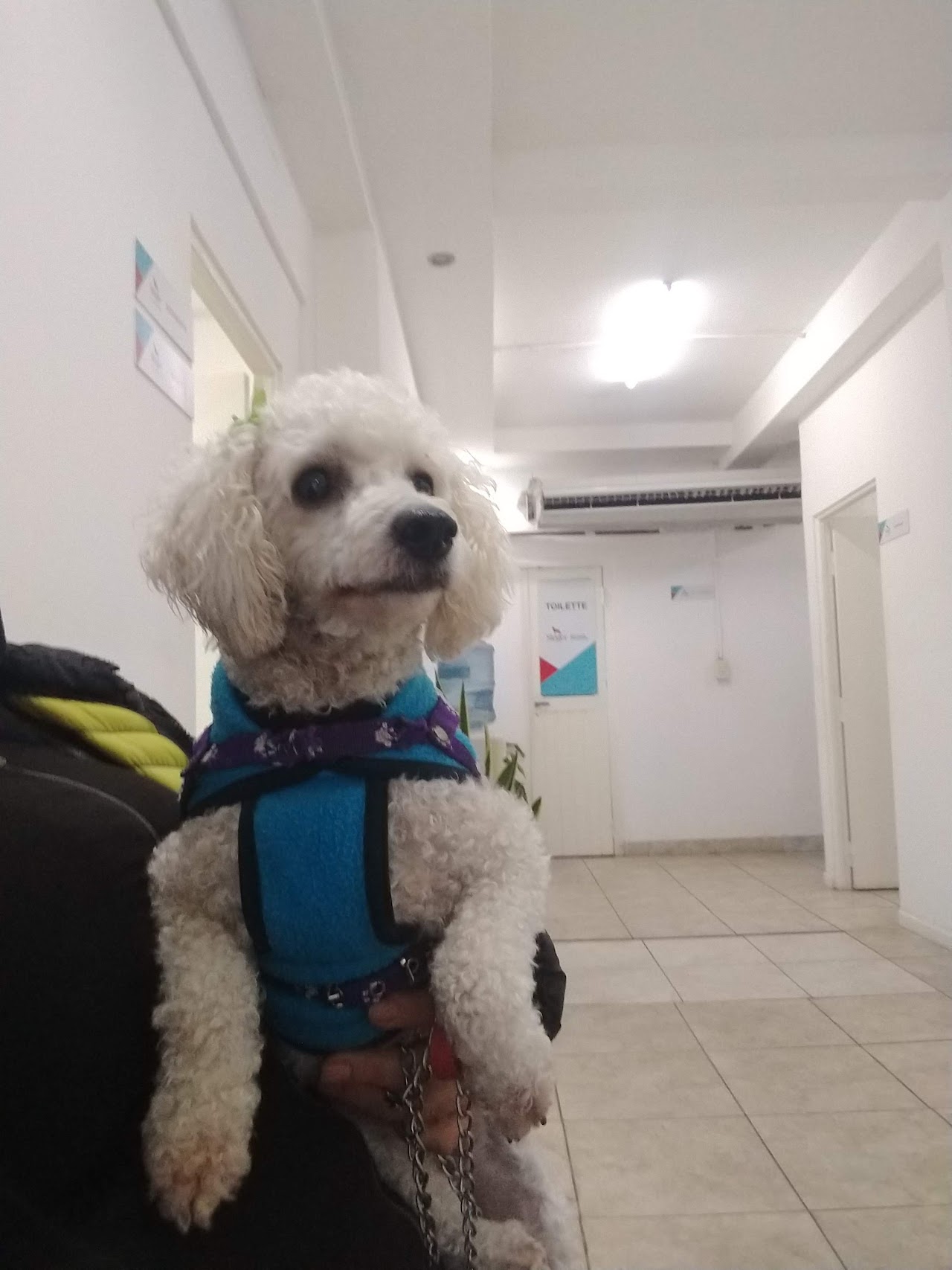 Pasillo de Armenia Clínica Veterinaria